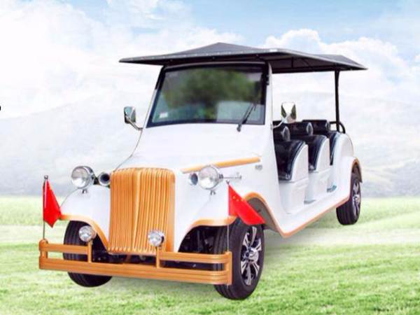 樓盤電動看房車 樓盤電動看房車