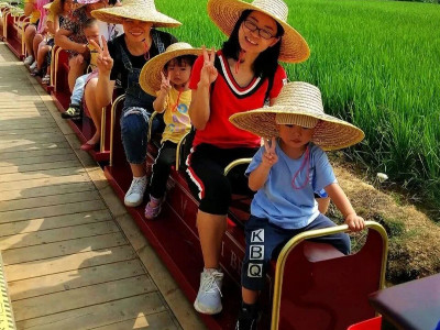 農(nóng)業(yè)旅游新流量載體-稻田觀光小火車