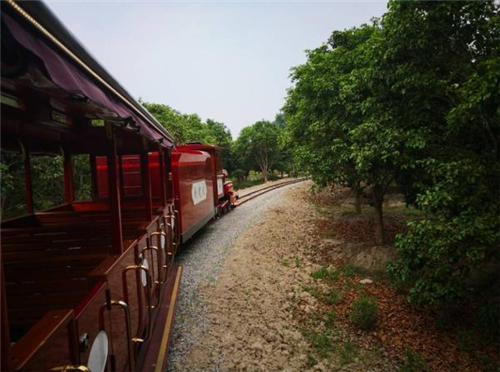 農(nóng)業(yè)觀光小火車