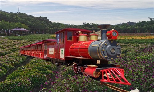 觀光小火車.jpg