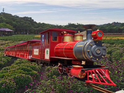 整個(gè)“大武漢”買軌道小火車，誰比蒂森逸馳更專業(yè)？