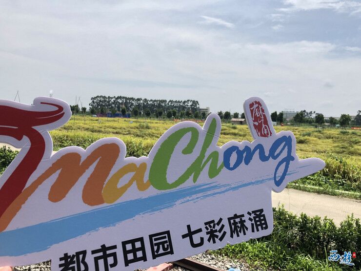 QQ圖片20191205162023