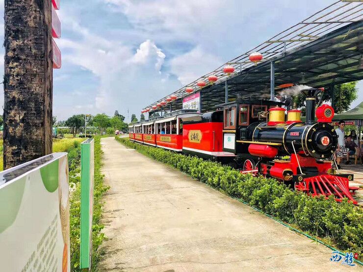 觀光小火車