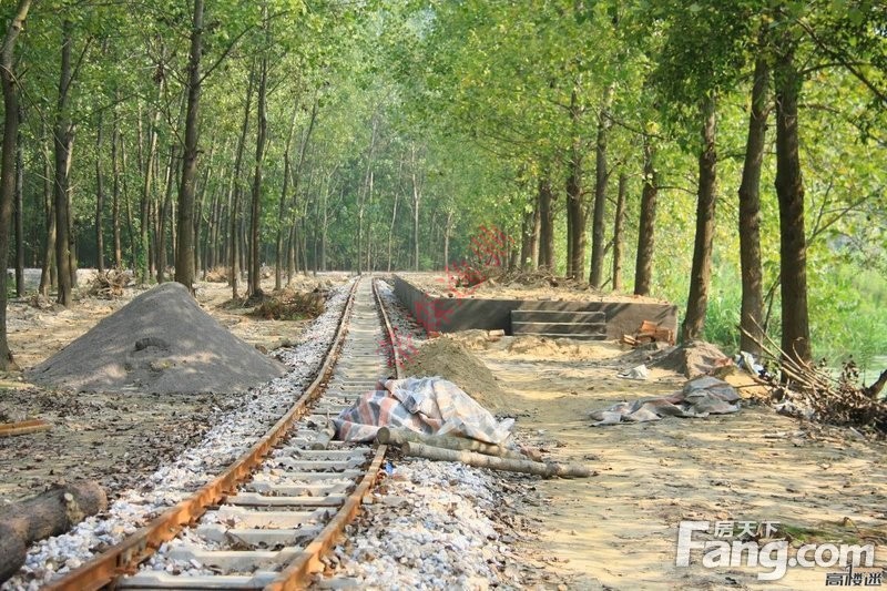 觀光小火車軌道