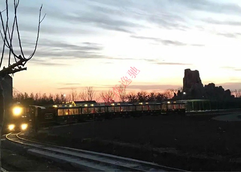 有軌觀光小火車 (41)