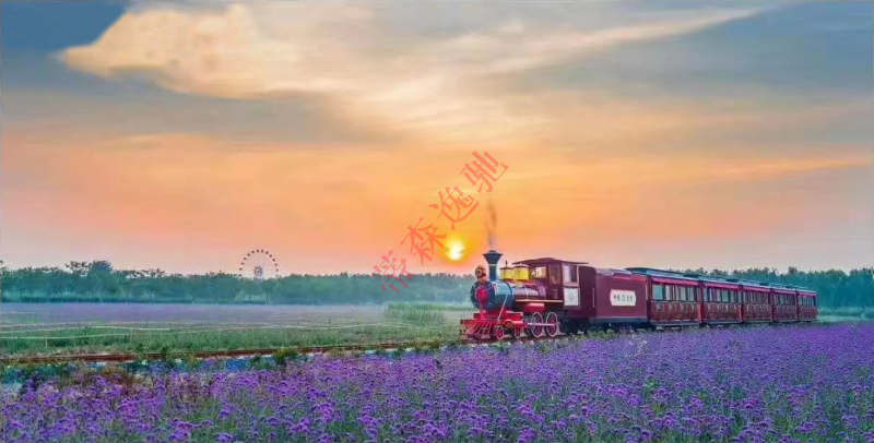 有軌觀光小火車（2）