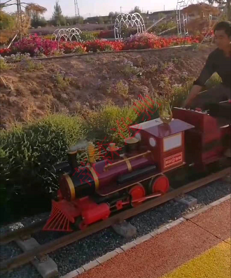 景區(qū)里的觀光小火車