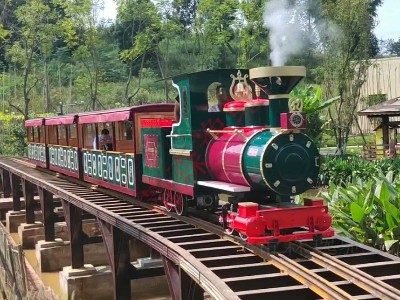開往快樂的旅游觀光小火車