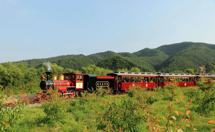 愛(ài)情專(zhuān)列