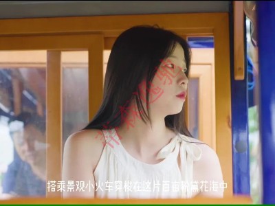 【宣城】當(dāng)粉黛花海遇上網(wǎng)紅小火車(chē)