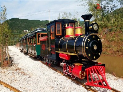DST-G6-D54B 觀光小火車景區(qū)軌道小火車