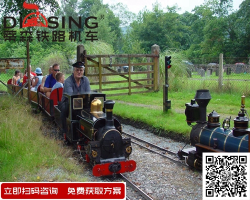 蒸汽軌道機車 (3)