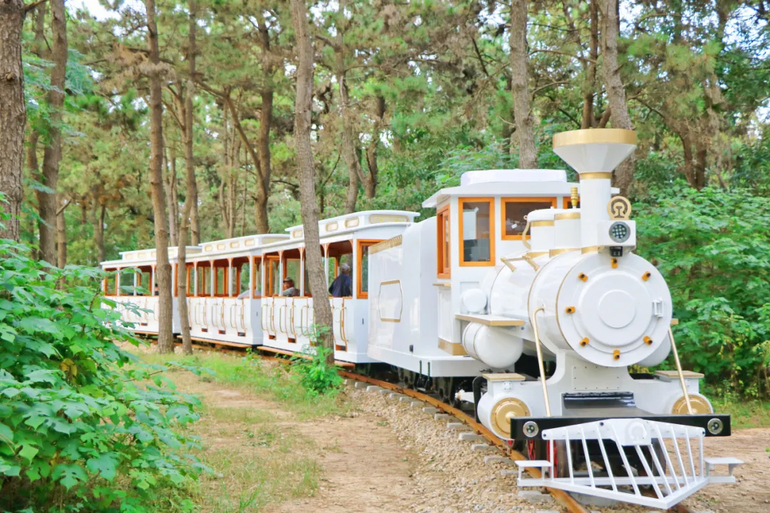 森林小火車