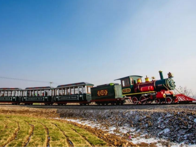 【山東】英式軌道封閉96座觀光小火車