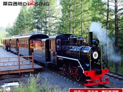 景區(qū)里的新寵——網(wǎng)紅小火車