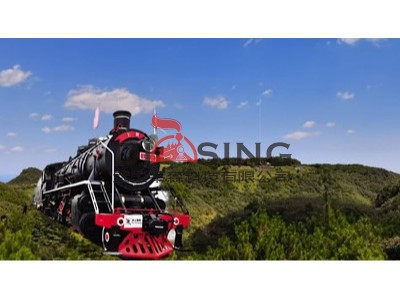 【湖北】軌道交通觀光小火車，認(rèn)準(zhǔn)專業(yè)，不會(huì)錯(cuò)