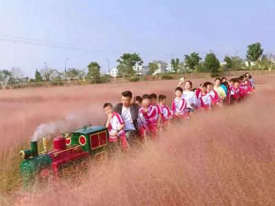 【浙江】迷你兒童軌道景區(qū)觀光小火車