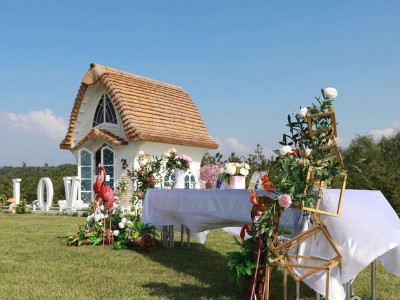 【愛情】景區(qū)觀光小火車有主題的成就