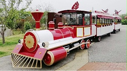 電動觀光小火車儀表顯示有電，踩油門車子不動是怎么回事